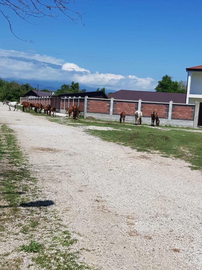 Solnechny Bereg Guest House Gudauta Exterior photo